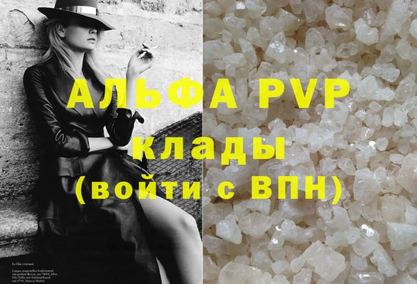 молекула духа Ростов