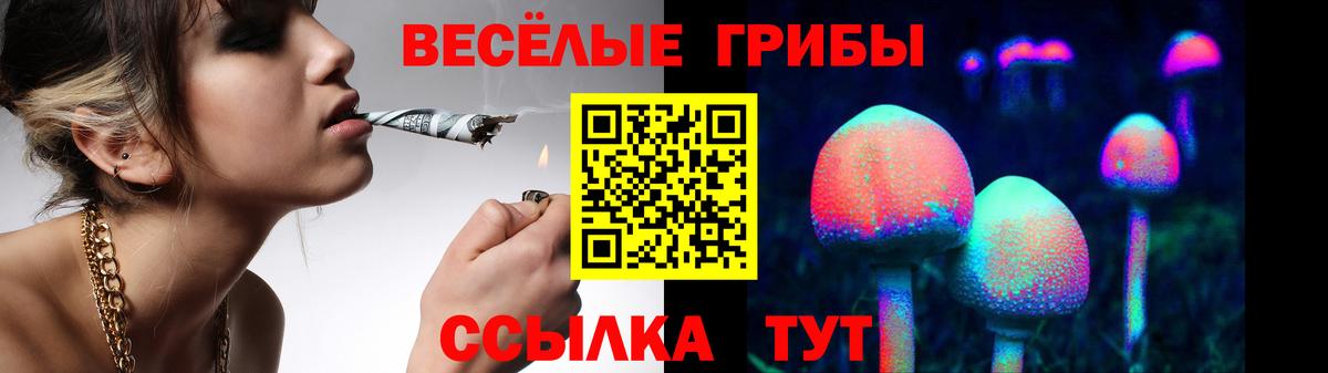 Галлюциногенные грибы Psilocybine cubensis Алапаевск